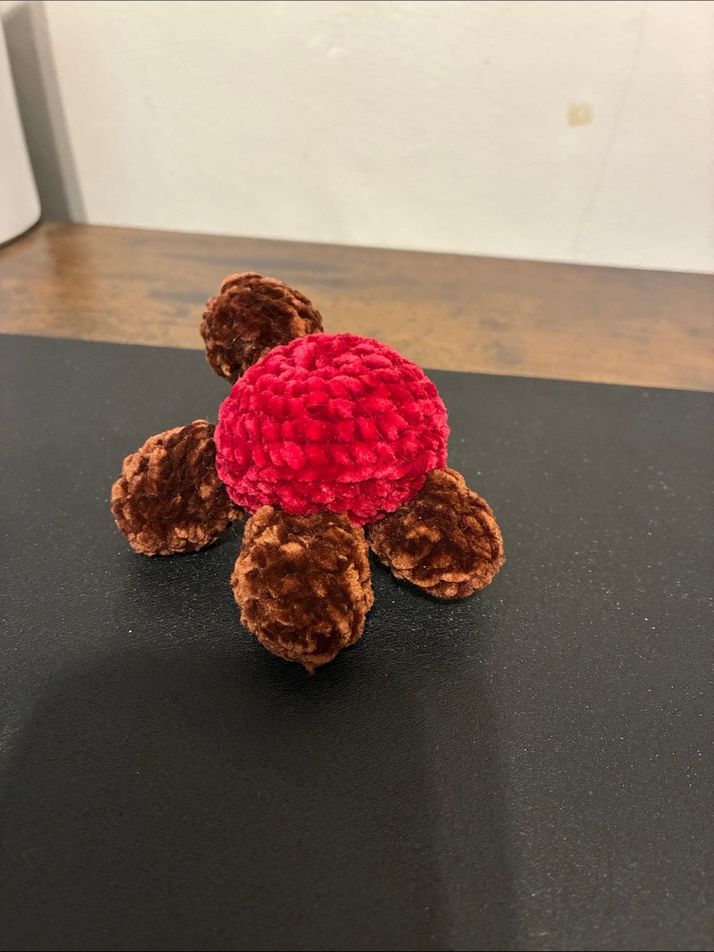 Crotched Turtle - Picture 4 of 7